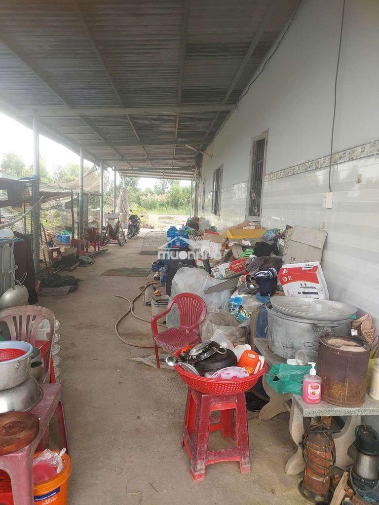 Gấp bán đất tặng nhà ngay bình chánh long an chỉ 1.6toi  - 4