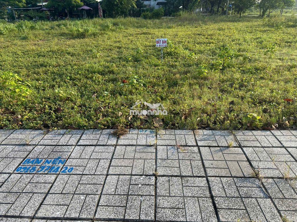 Định cư nước ngoài nên cần bán gấp đất nền, sổ hồng chính chủ - 3