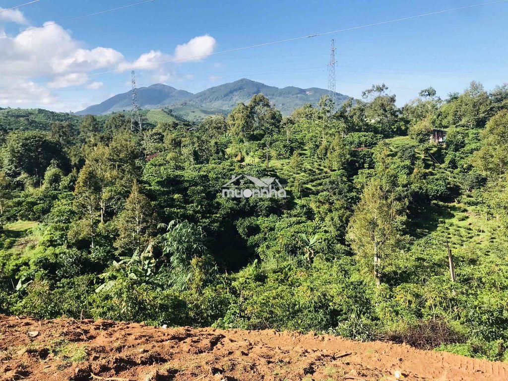 Bán lô đất view đồi, view suối - full thổ cư, ngang 8m, cách ql55 400m - 4