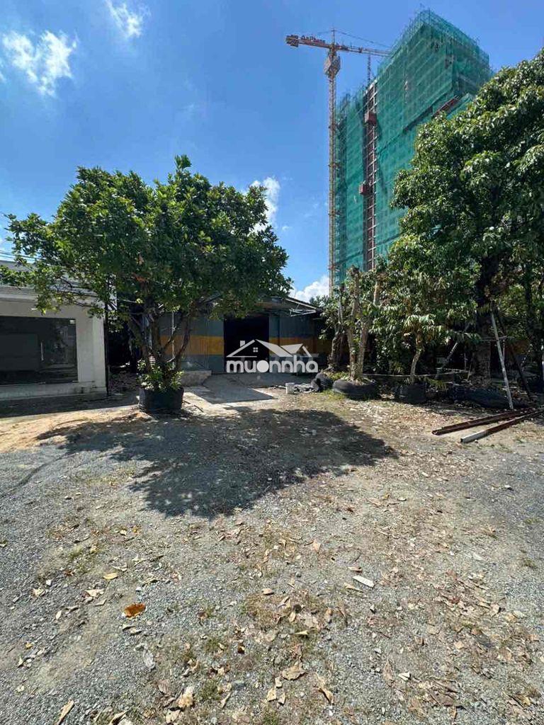 Cho thuê kho, xưởng linh xuân thủ đức 250m2