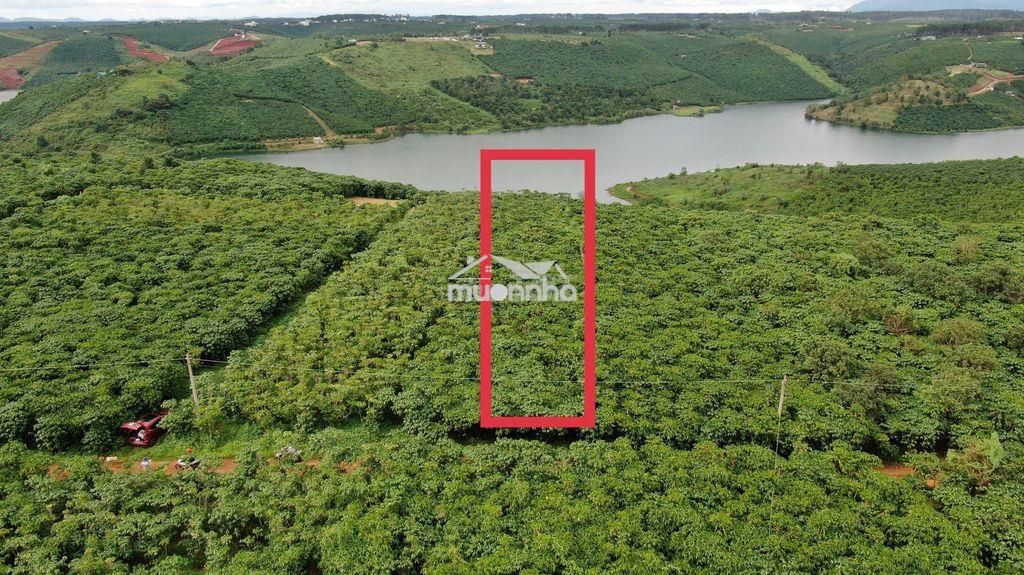 Đất view hồ dak long thượng, xã lộc đức, huyện bảo lâm, lâm đồng - 2