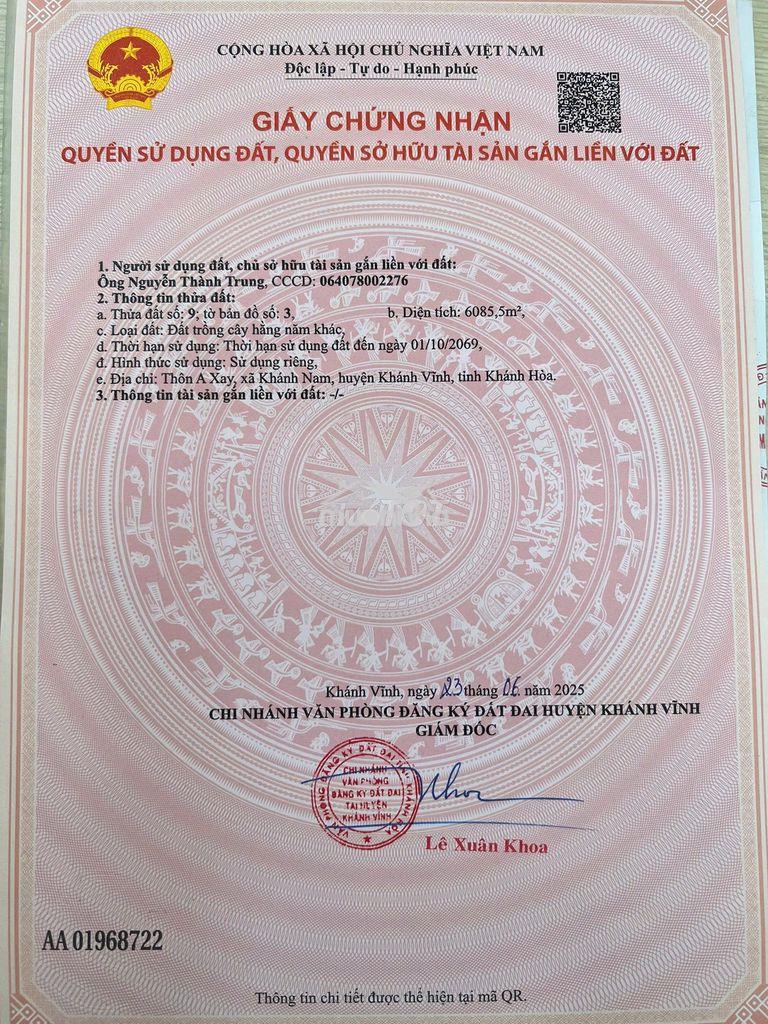 Cần tiền bán gấp nhà vườn bưởi đang thu hoạch - 3