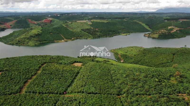 Đất view hồ dak long thượng, xã lộc đức, huyện bảo lâm, lâm đồng