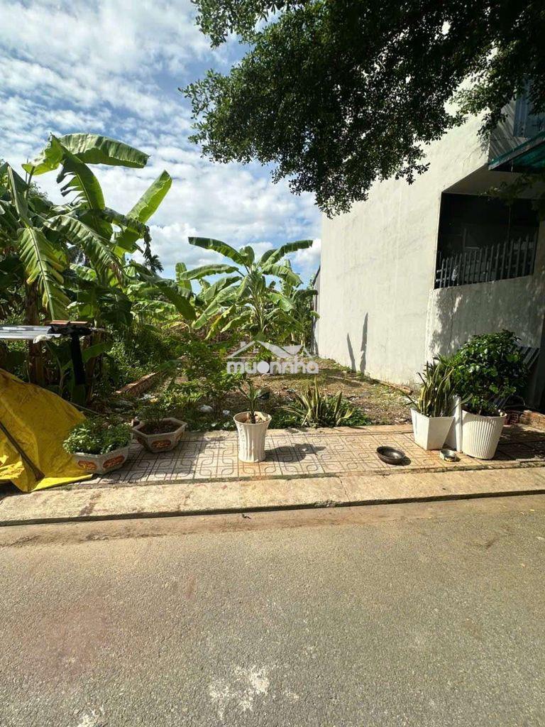 Bán lô đất shtp long thuận (80m) - 3