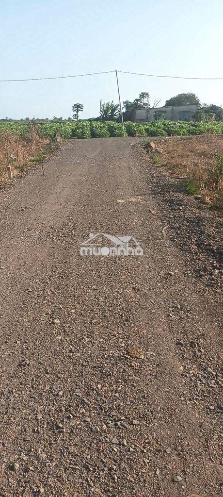 Bán lỗ - 1052m2 đất láng dài- đấtt đỏ- hcm