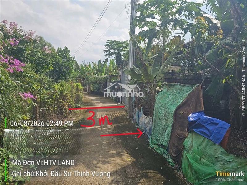 Bán đất + nhà cấp 4 sổ hồng riêng, gần giáo xứ thanh bình