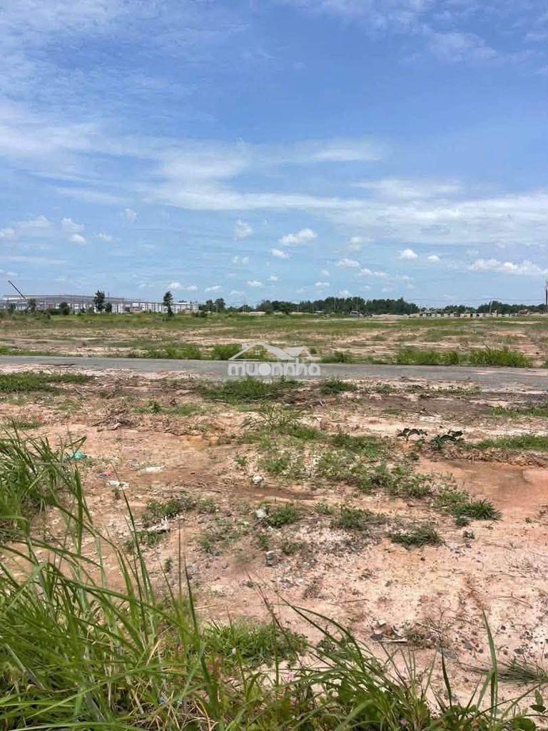 Bán đất khu công nghiêp gia thuận,huyện gò công đông ,tỉnh tiền giang - 3