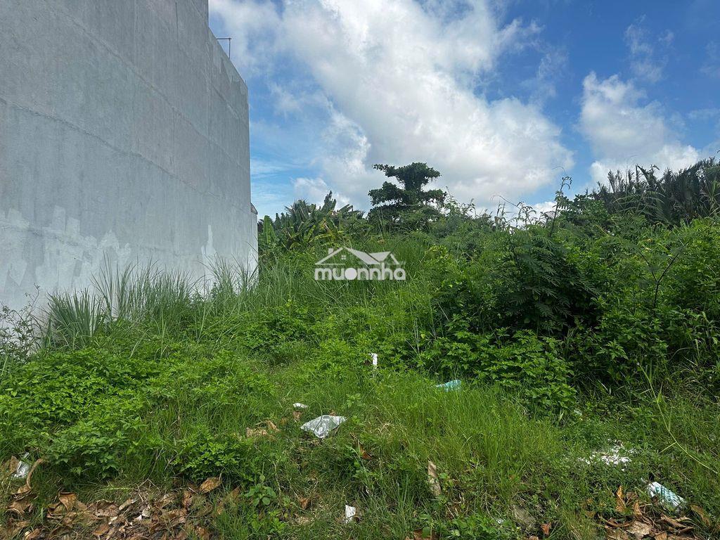 Bán đất 67,3m2, sổ hồng sẵn, xây dựng tự do, kdc phú lợi phường 7 q8 - 2