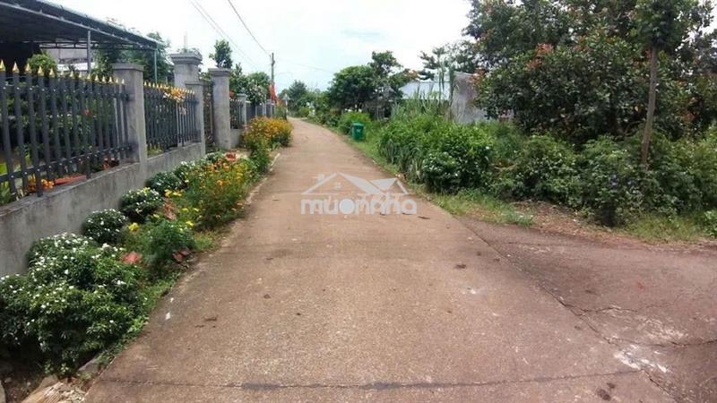 Đất góc 2mt xuân đông cẩm mỹ , 566m2 gần chợ cọ dầu cách dt765 tầm 50m