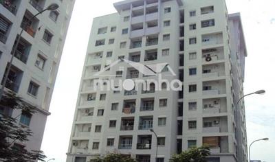 Căn hộ phú thọ, ngay góc lữ gia – n.t.nhỏ, p.15, q.11, 60m2, 9tr - 2