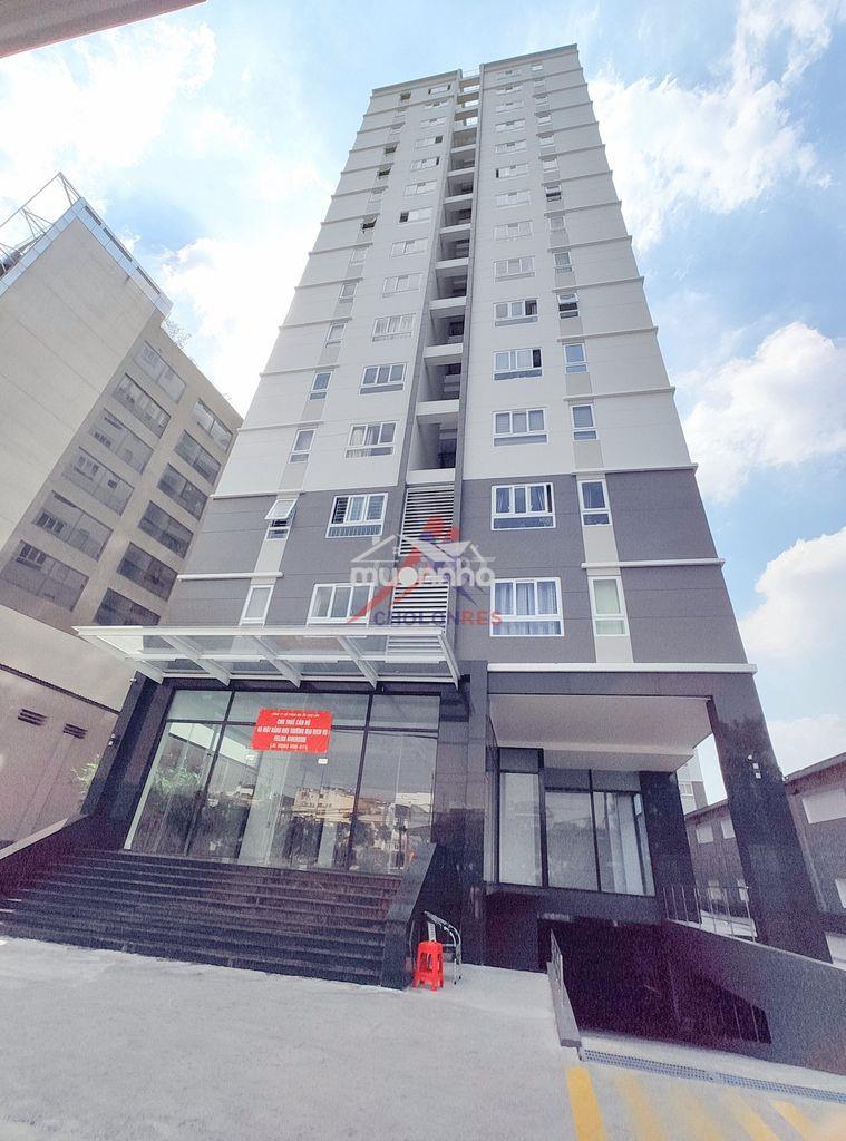 Cho thuê căn hộ felisa riverside gần cầu nguyễn tri phương - 2