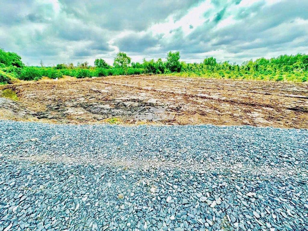 Bán 500m2 tại tỉnh lộ 816, xã thạnh hòa, huyện bến lức, 395 triệu . - 4