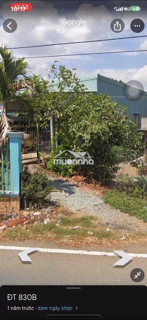 Nhà mặt tiền cho thuê nguyên căn - 4