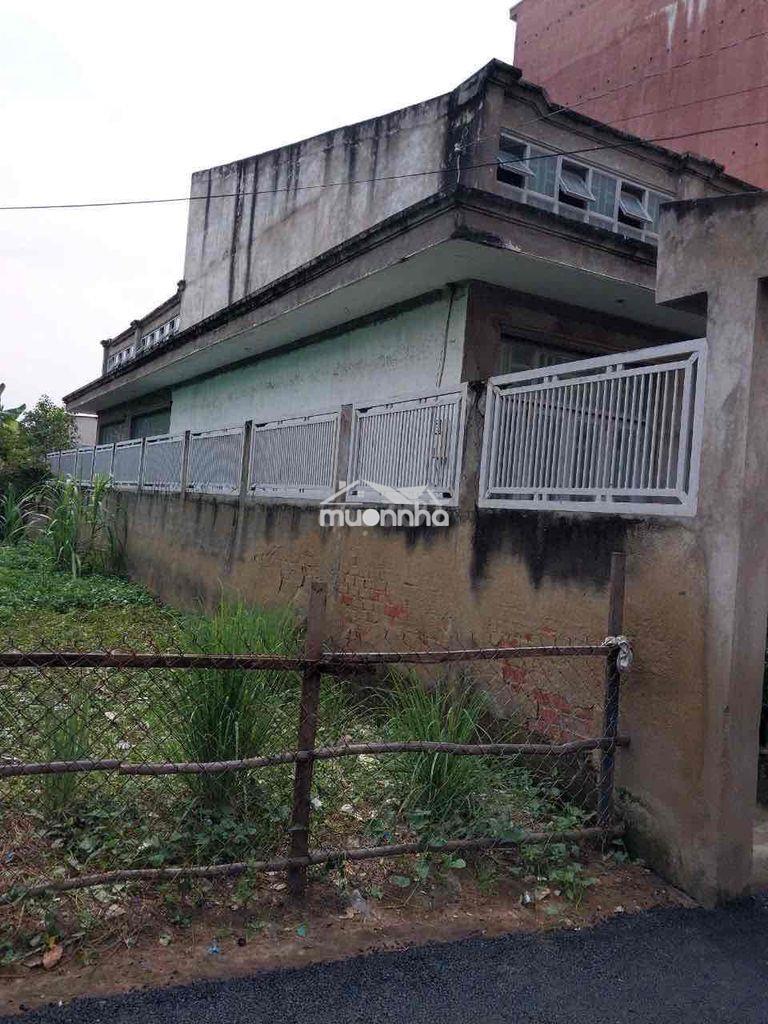 Biệt thự vườn, dt 200 m2 ,thổ cư ,xe hơi tới nhà bình khánh , cần giờ - 4