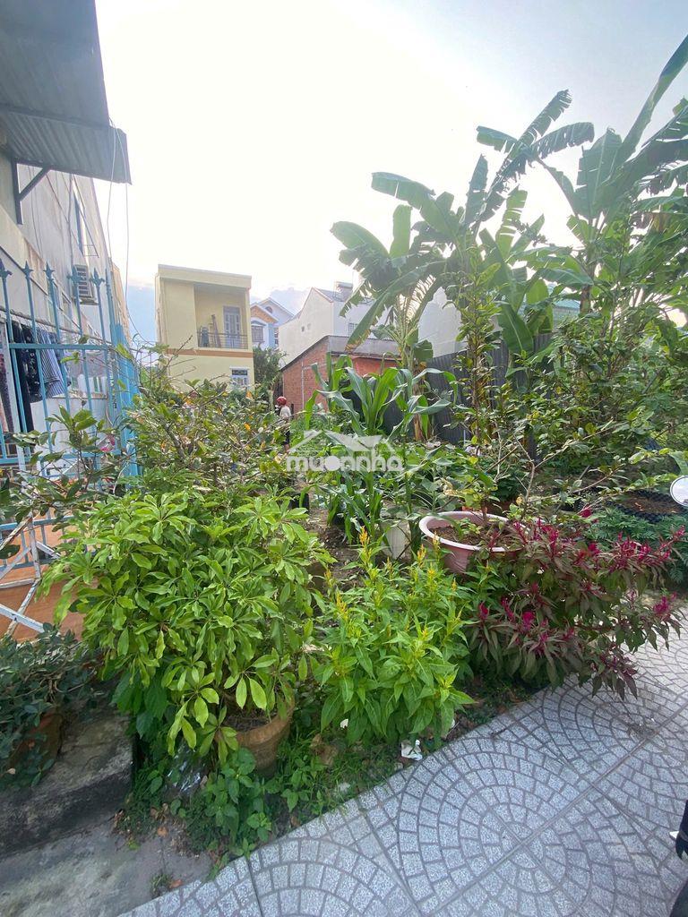 Nền đẹp (5,5x17)full thổ đường nhựa oto kdc ngọc vân phường 3  - 2