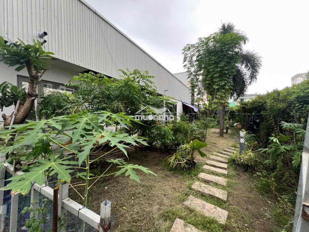 Cho thuê nhà phố sân vườn - 2