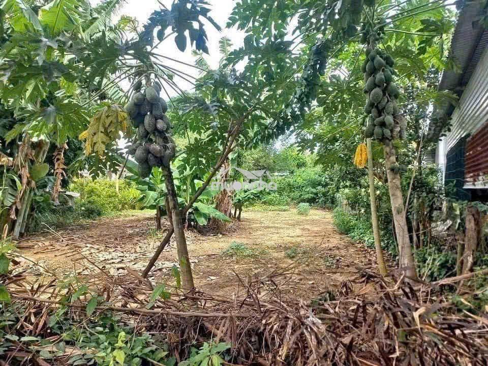 Kẹt tiền bán gấp đất đồng nai - 3