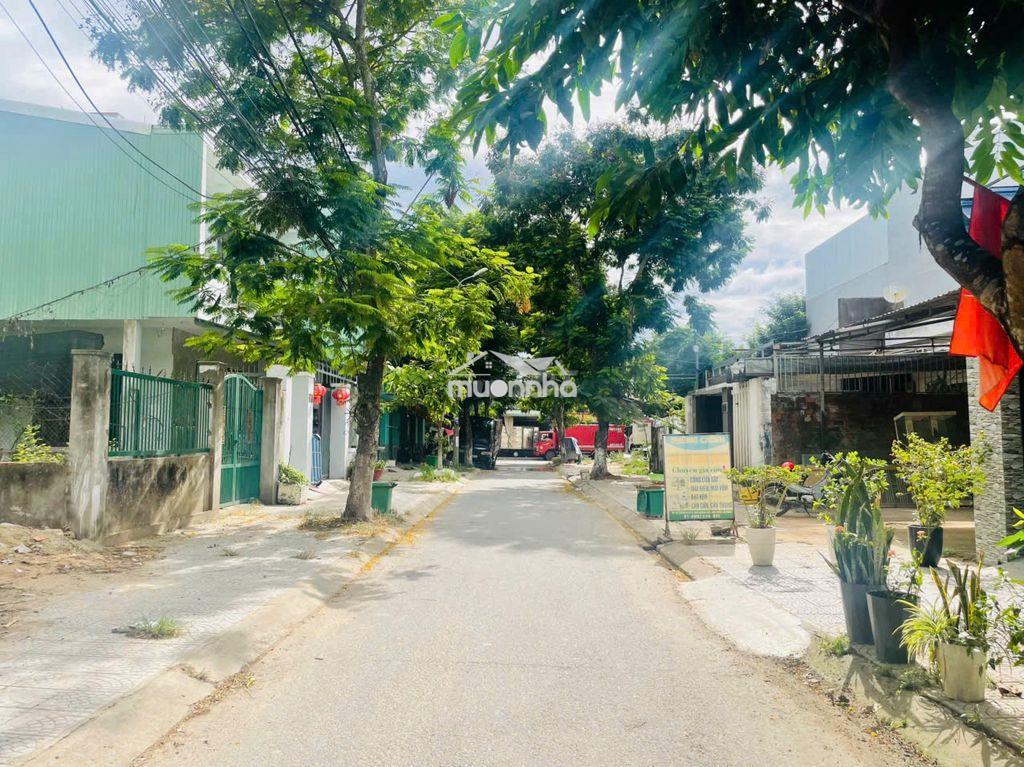 💥Đất diện tích khủng 168m2 (7x24m) mặt tiền thanh vinh 12 | bán gấp  - 3