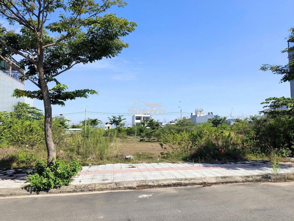 Cô nhi chính chủ bán đất nam hòa xuân khu đầm sen b2.132 giá 4 tỷ - 3
