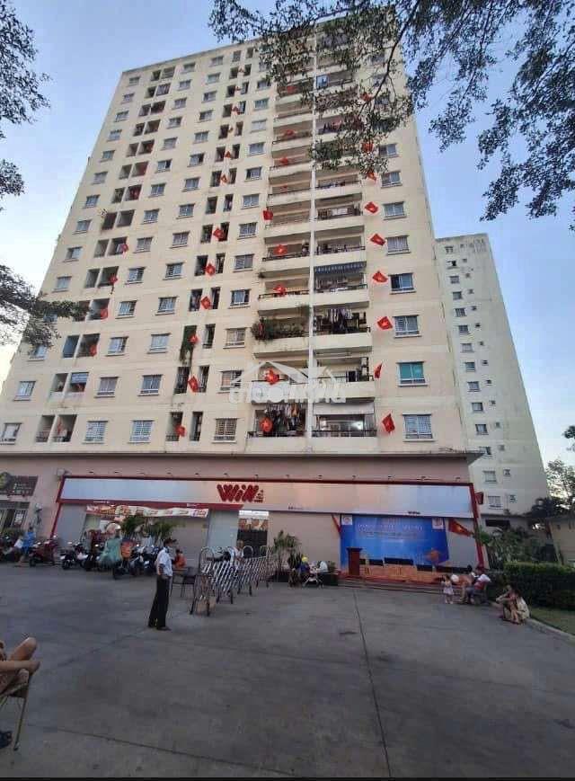 Cho thuê nhiều căn ccư quân khu 7 , trung mỹ tây quận 12