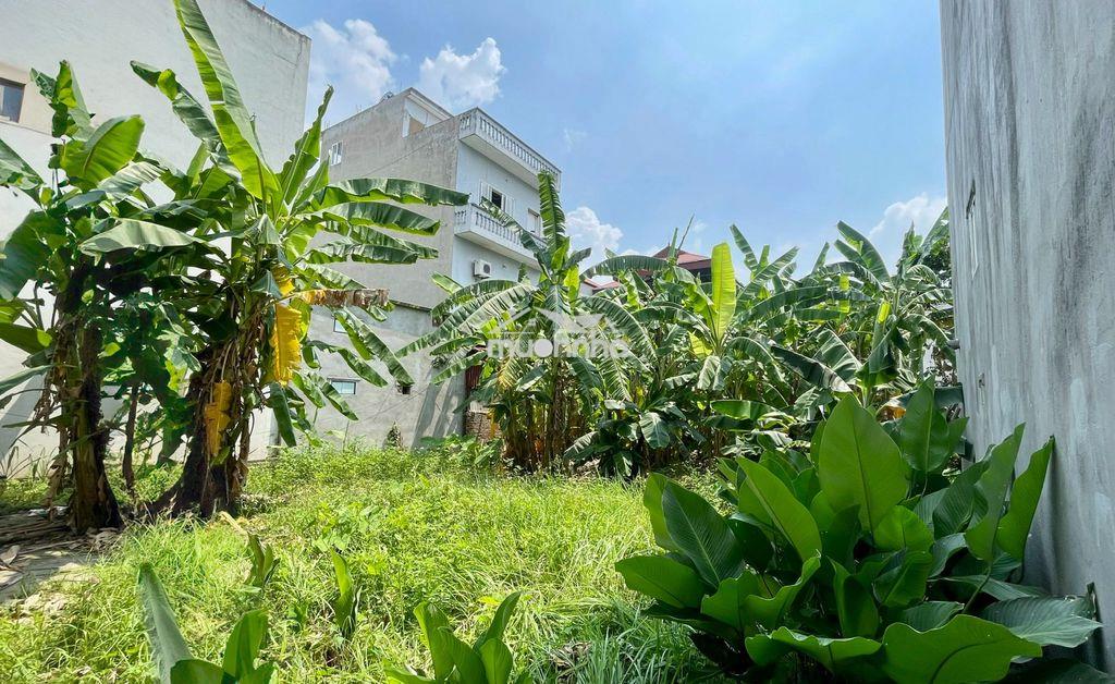 Đất ođt đan phượng 252m2, mặt tiền 12.5m, cạnh vành đai 4 - 2