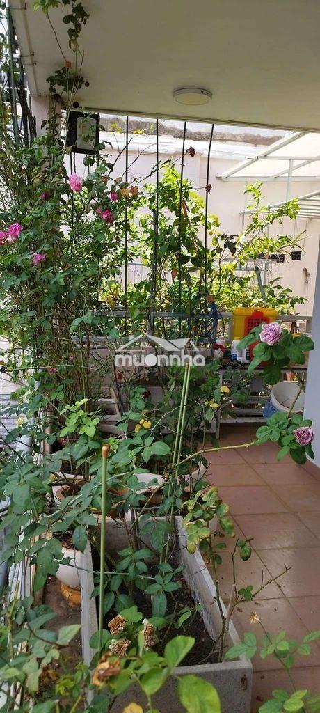 Siêu phẩm tân bình - 10*20 - giá 52 tỷ - 2