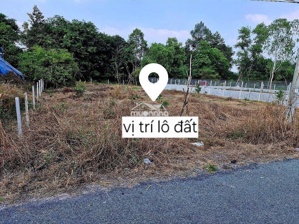 Bán đất củ chi - 4
