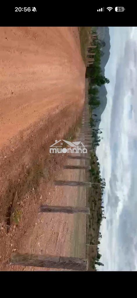 Bán đất hai mặt tiền – gần ql1, ql55 và cao tốc phan thiết–dầu giây - Ảnh 3