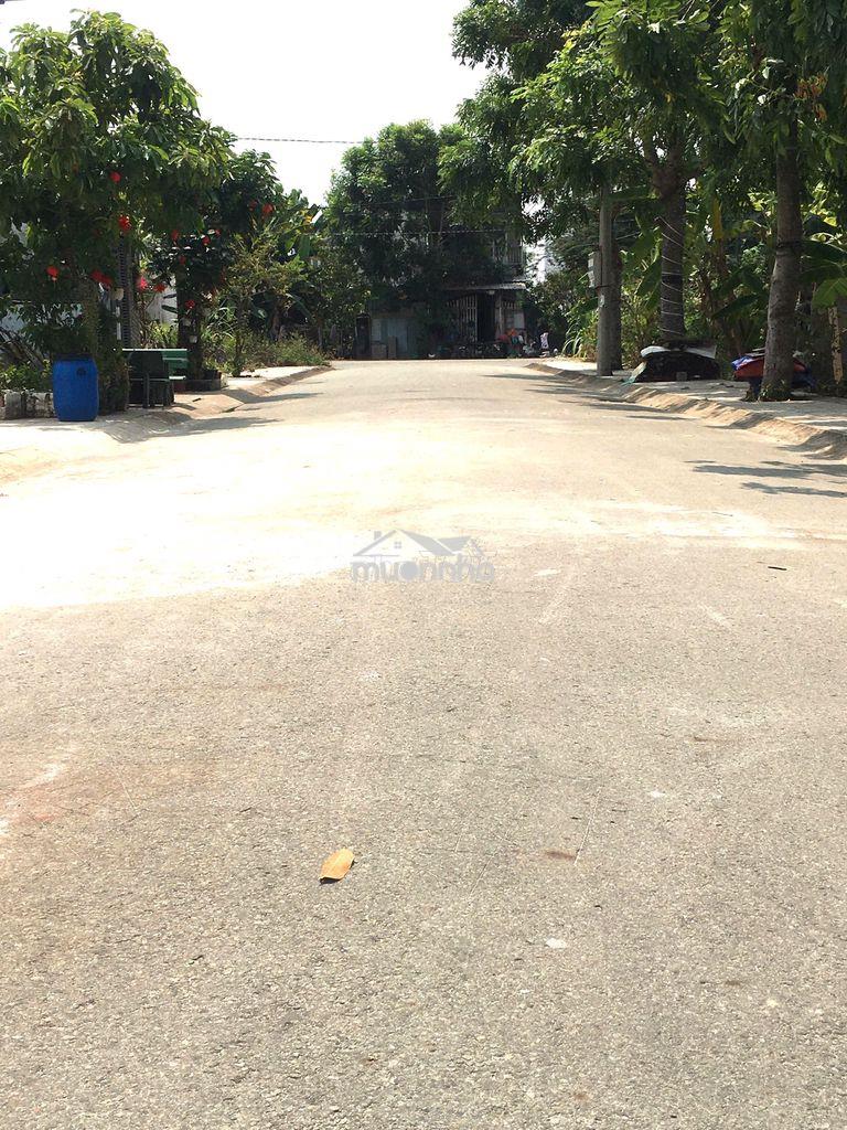Đất cát tường long an 4x18 sổ trao tay, xd tự do, giá cực tốt cho lái - Ảnh 3
