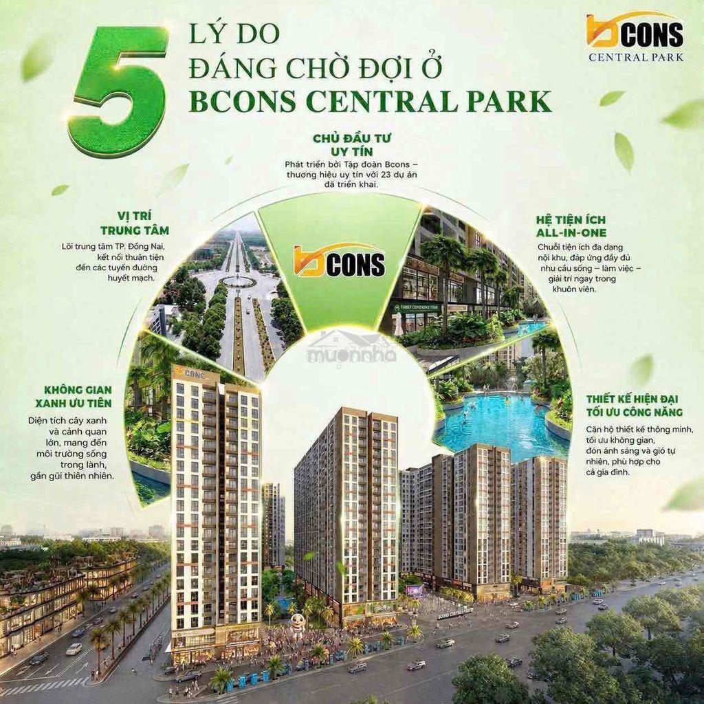 Căn hộ ngay trung tâm biên hoà - bcons central park - Ảnh 2