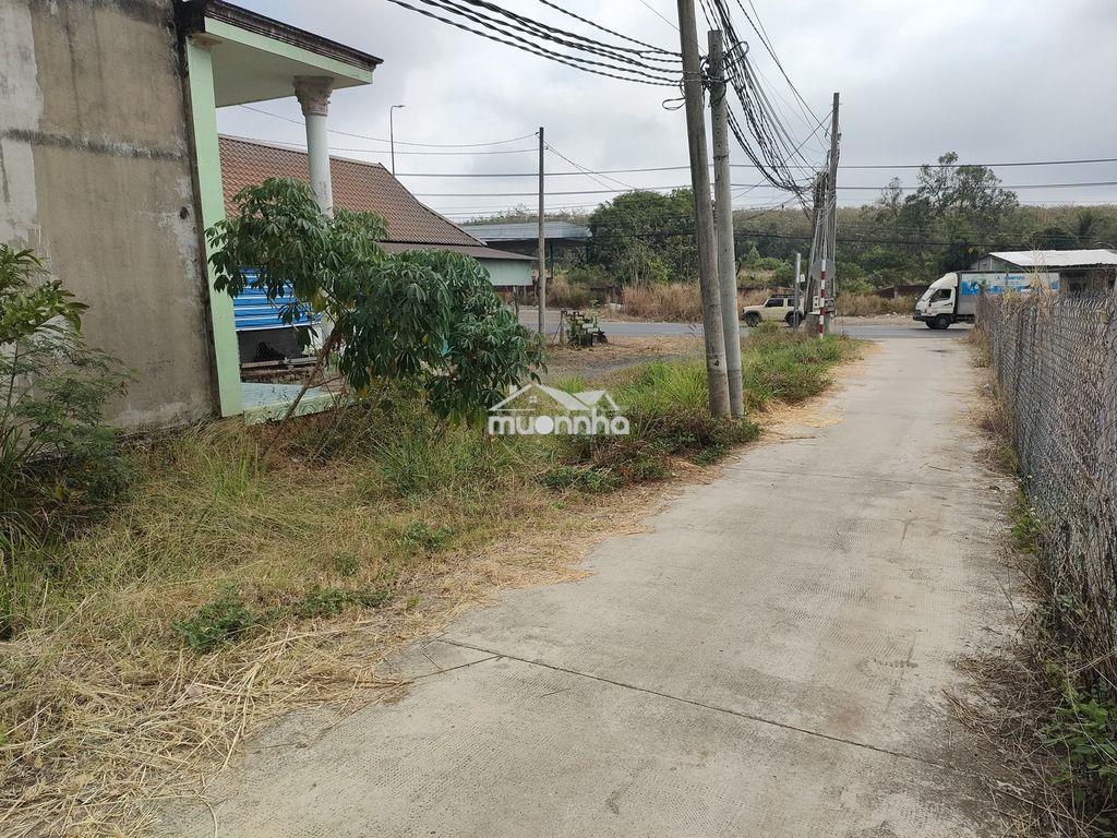 Bán đất full thổ cư 150m2 gần quốc lộ 20 chỉ 40m, ngân hàng hỗ trợ 80% - Ảnh 2