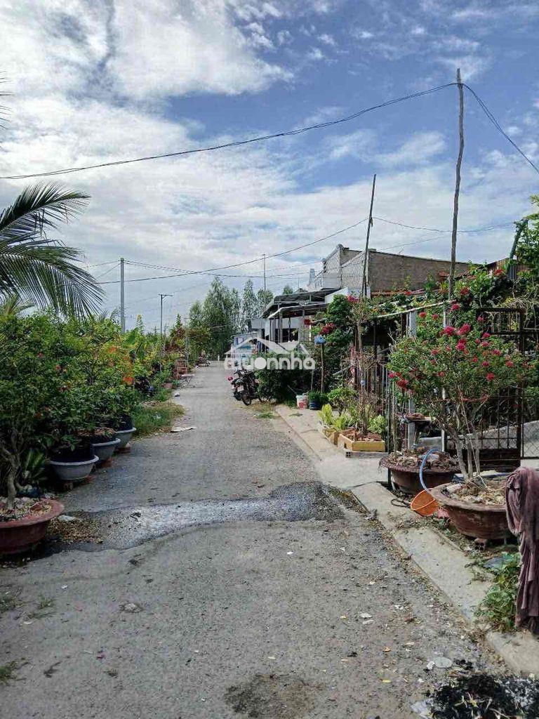Đất nền bị ngộp - Ảnh 2