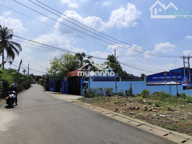 Bán 1 hecta đất 2 mt đường nhựa nguyễn hoàng, hùng vương, p. trảng bom - Ảnh 2