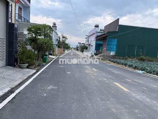 Tối muốn bán đất 14m x 40m  560m2 đất xây nhà ở củ chi. giá 1,4 tỷ. - Ảnh 2