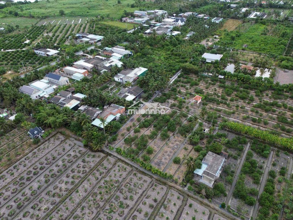 Bán nền thổ 5x39(195m2). ấp 5 thạnh hoà. đất cách nhựa 100mét - 4
