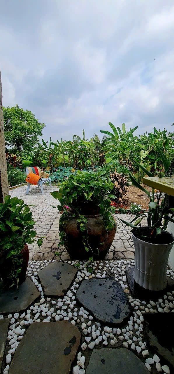 Bán nhà riêng 1030m2 có sẵn 1030 m2 thổ cư giá 16,8 tỷ tại đường liên ấp 3a - xã mỹ yên tây ninh - Ảnh 4