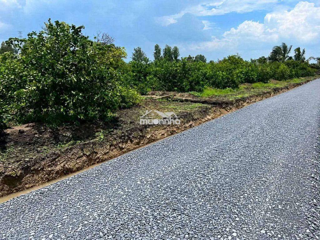 Bán 500m đất làm nhà vườn long an - 2