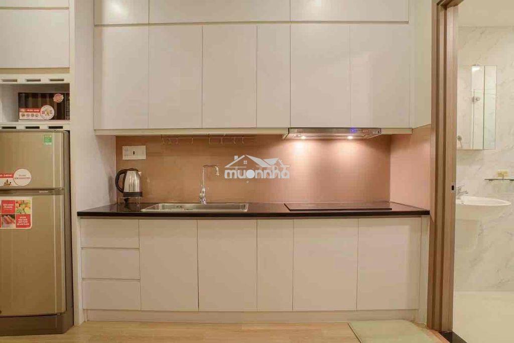 Cho thuê căn hộ style châu âu - chợ bến thành - takashimaya - bùi viện - Ảnh 2