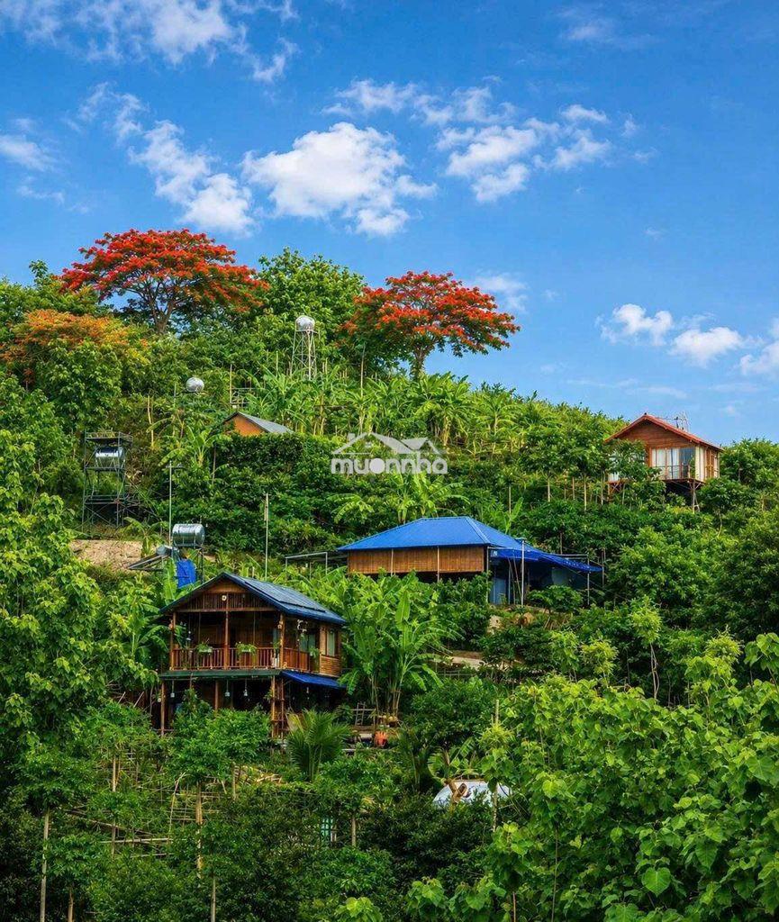🌿Bỏ phố về vườn view đẹp chỉ từ 989 tr– cuối tuần có 1 nơi để trở về - Ảnh 2
