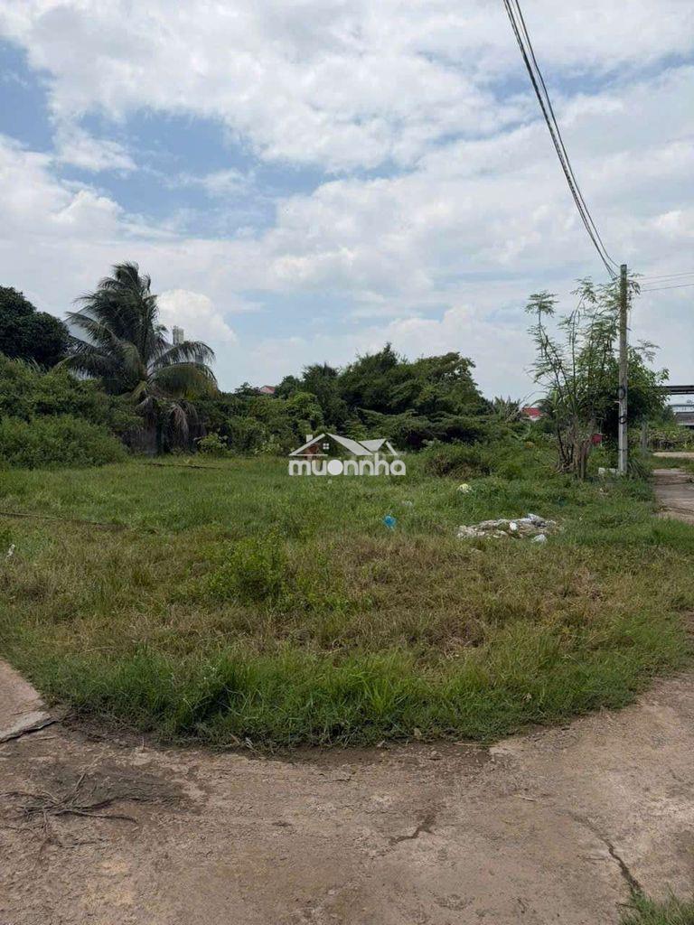 Bán đất thổ cư ngã tư hàm thắng, 190m² phường hàm thắng, tỉnh lâm đồng - 3