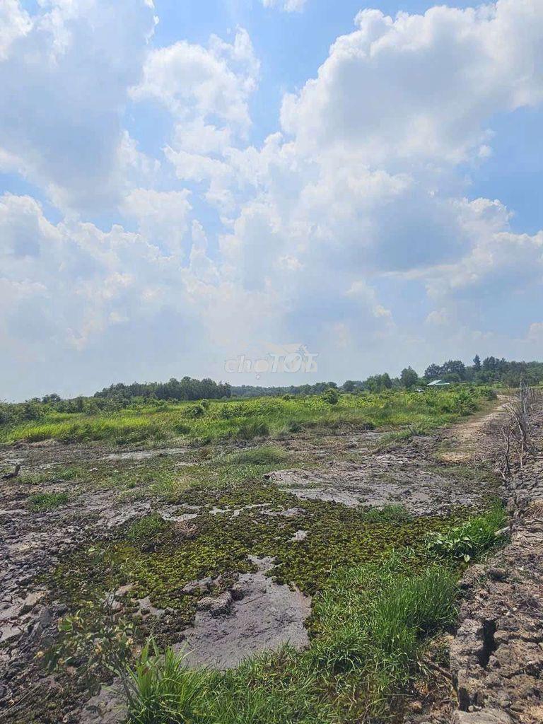 1.500m2 gần ub xã thái mỹ cũ - 3