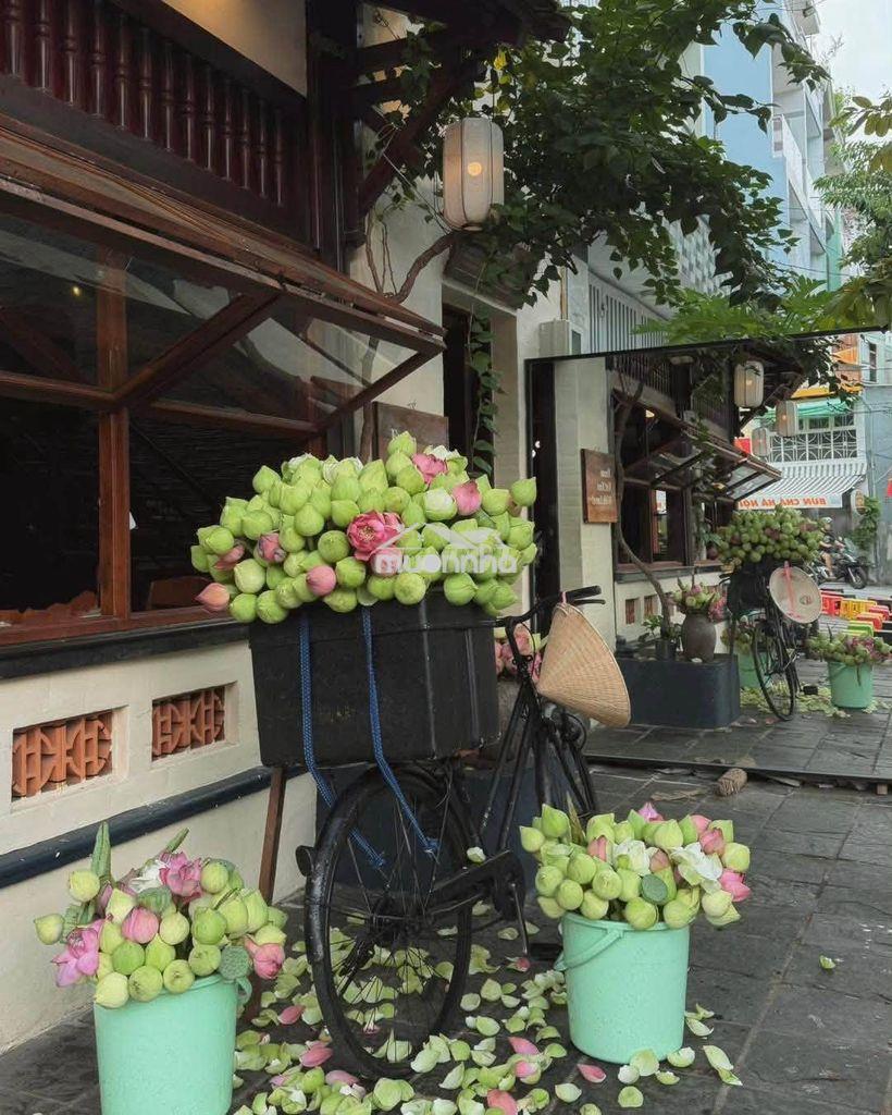 Cho thuê 2 mặt tiền hoa lan phú nhuận,trệt lầu sân thượng,dtsd 400m2 - Ảnh 3