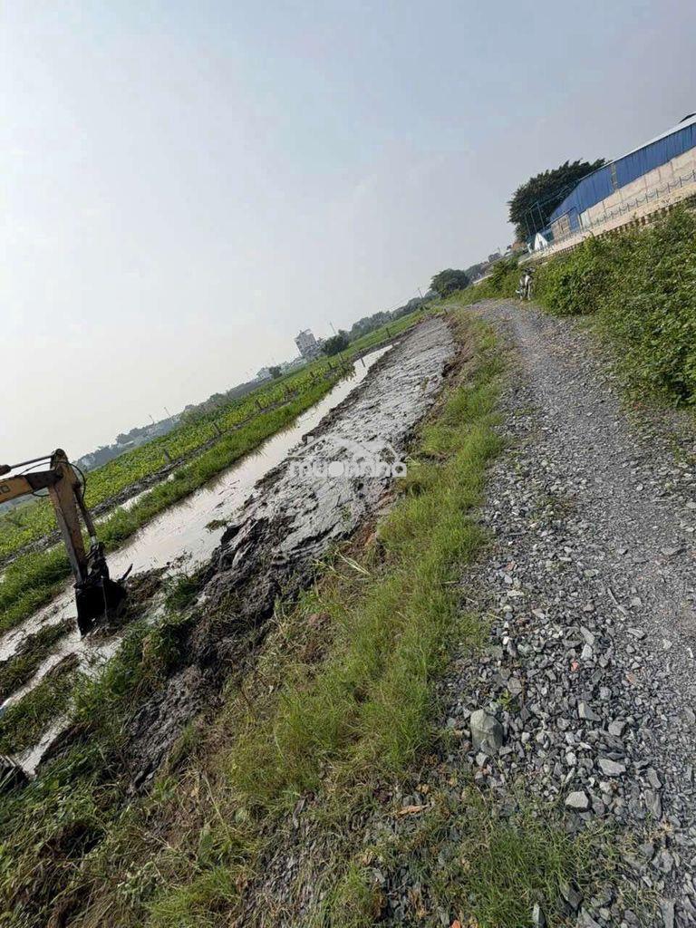 1300m2 đất nông nghiệp nguyễn thị ngâu vài 100m, chỉ 2.99 tỷ - Ảnh 4