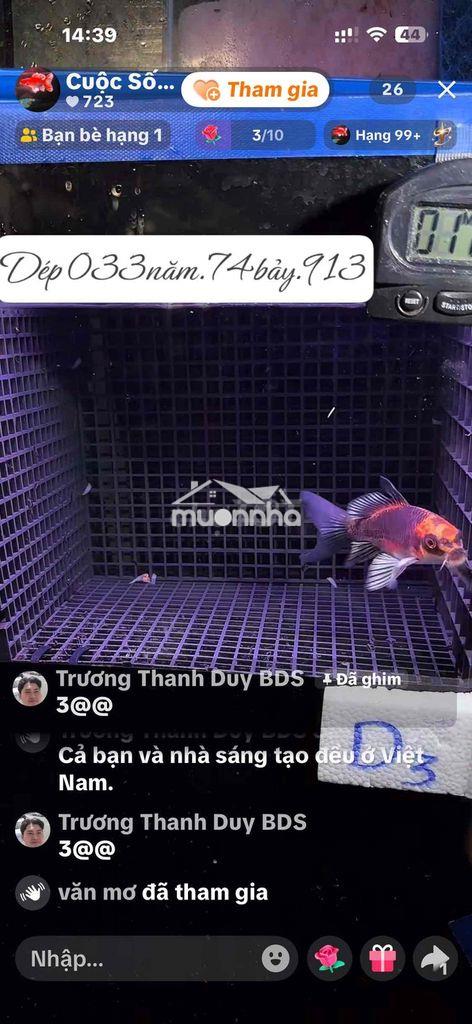 Kdc an hưng phát long bình tân sổ riêng đất đẹp giá tốt thương lượng - 3