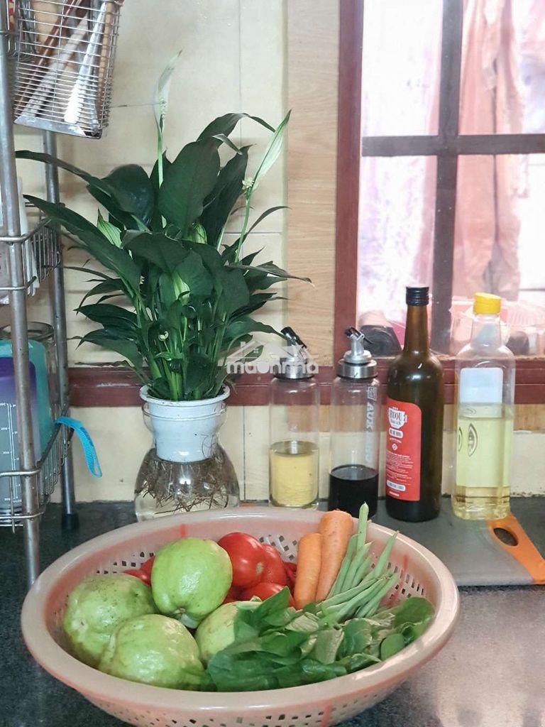 Phòng trọ full tiện ích - Ảnh 2
