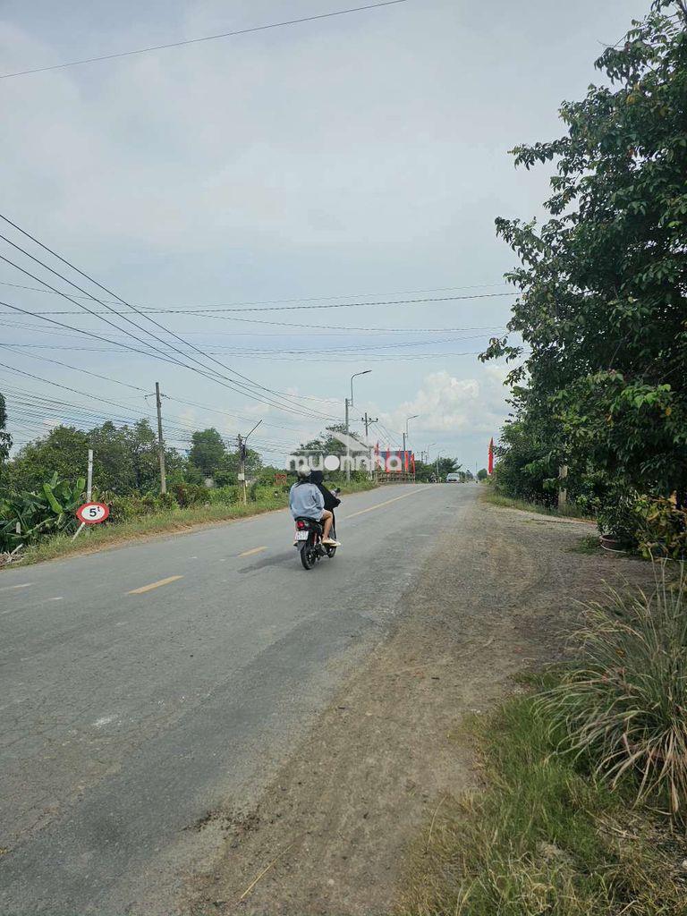 Cần bán đất thổ cư mt 838 đức huệ long an - 4