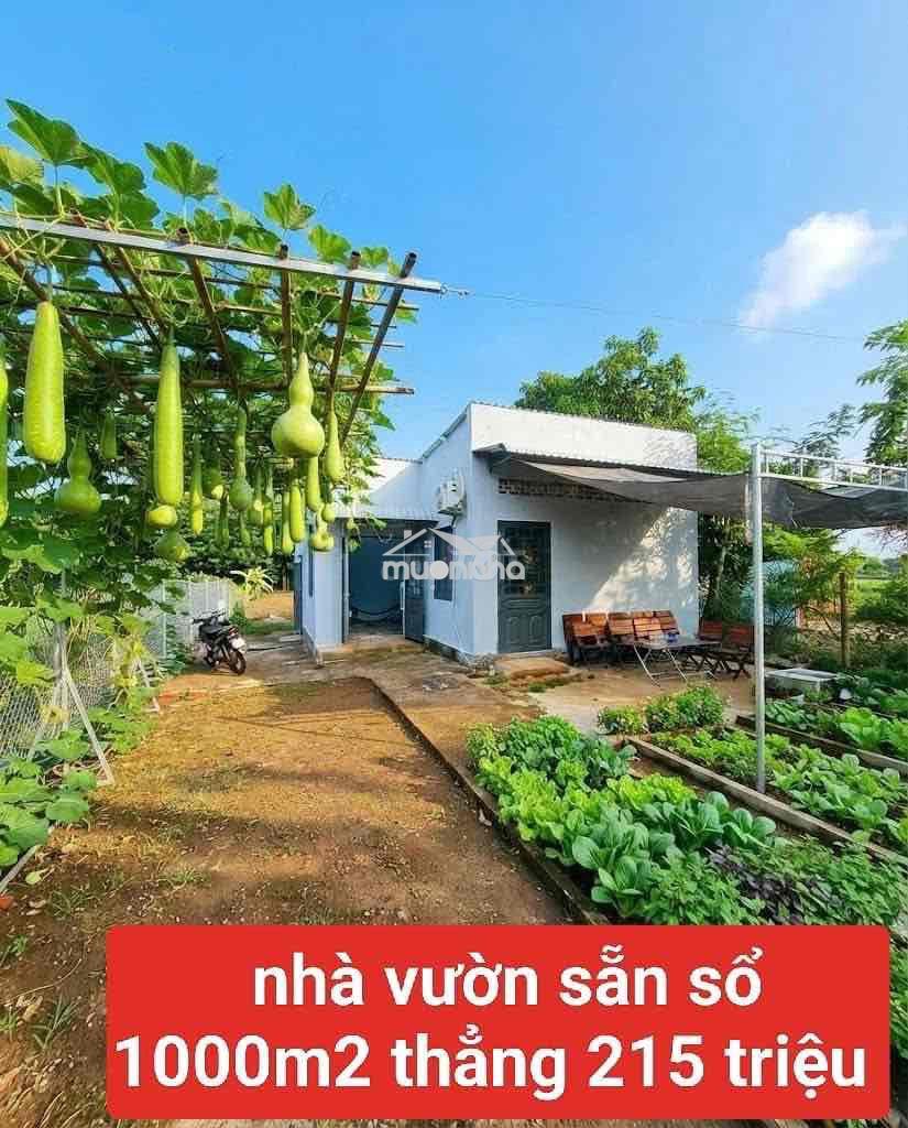 Mảnh vườn tâm huyêt 1000m1 - Ảnh 2