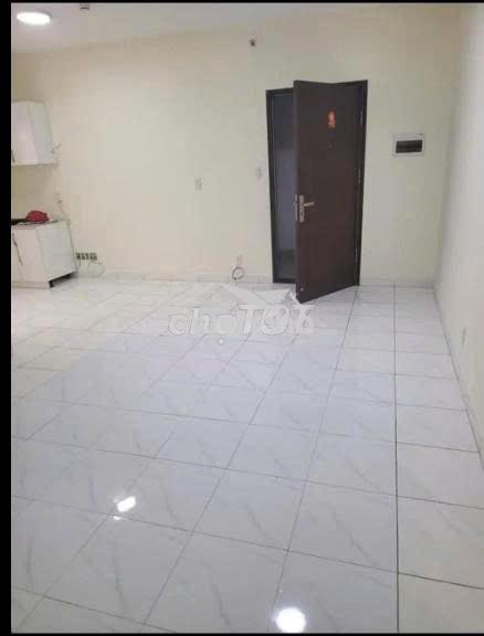 Cho thuê căn hộ 50m2- cc topaz- tân phú - Ảnh 2