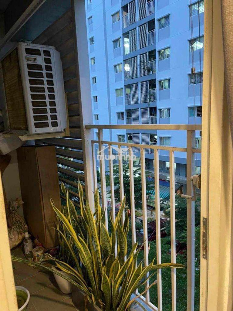 Căn hộ ehomes phú hữu mt đỗ xuân hợp, đối diện global city  q2 - Ảnh 3