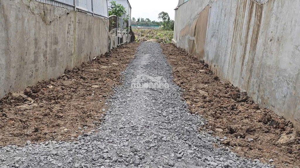 Bán đất cây lâu năm mặt tiền đường rừng sác, cần giờ - Ảnh 2